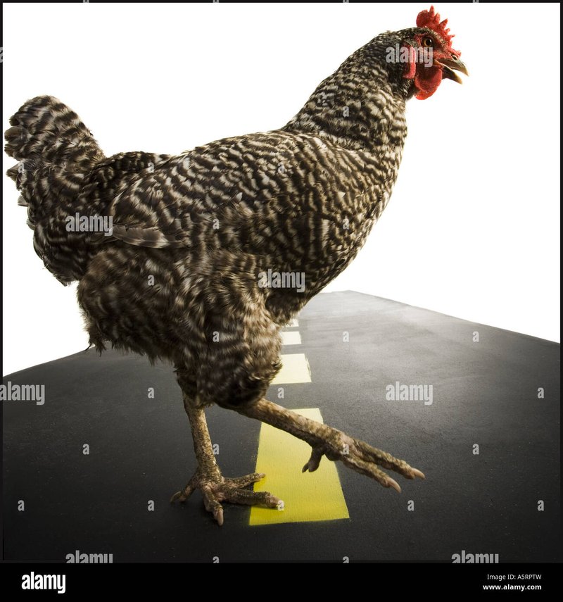 Descubre el mundo emocionante de Chicken Road en España y sus casinos en línea, chicken road